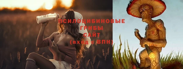 герыч Инта