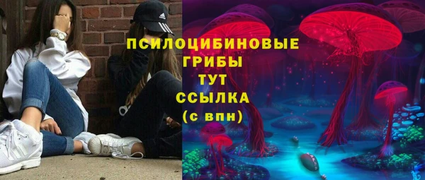 2c-b Иннополис